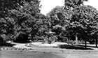 Dane Park Fountain [Photo]